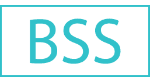 BSS Storage Services